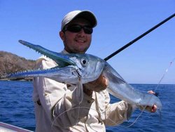 59th Ernest Hemingway International Marlin Fishing Tournament begins in Havana